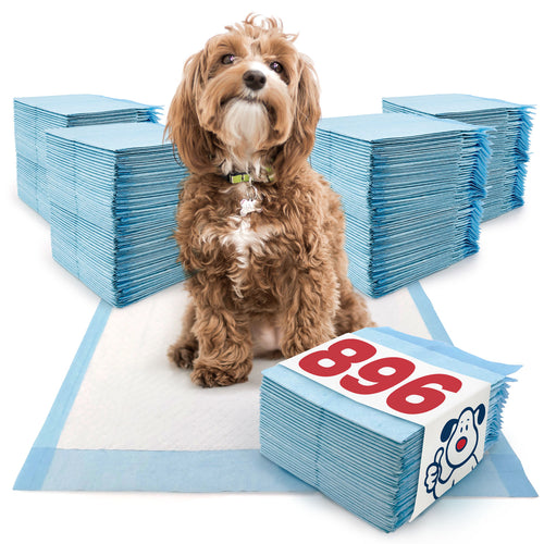 ValuePad Puppy Pads, Medium 23x24 Inch, Economy, 896 Count BULK PACK