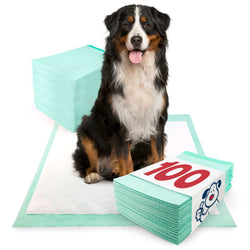 ValuePad Plus Puppy Pads, Extra Large 28x36 Inch, 100 Count