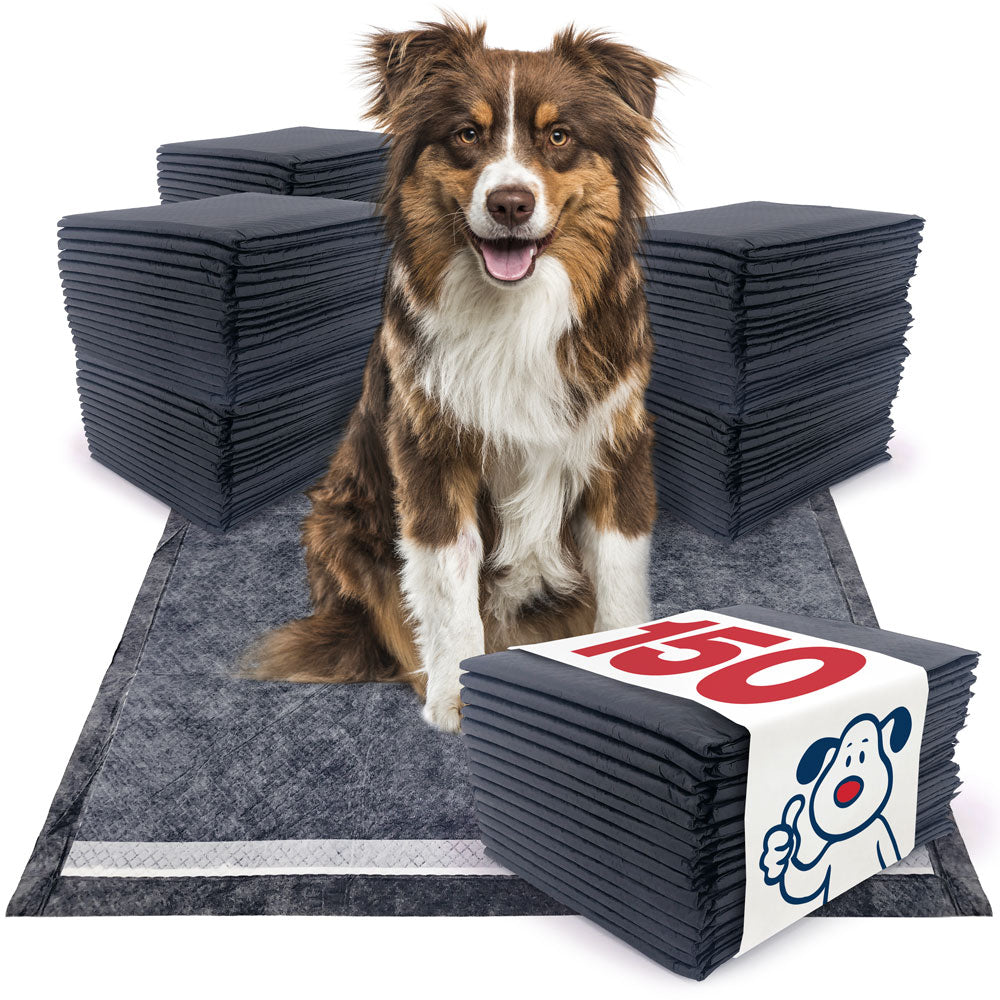 ValuePad Plus Carbon Puppy Pads, Large 28x30 Inch, 150 Count reviews