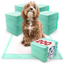 ValuePad Plus Puppy Pads, Medium 23x24 Inch, 200 Count - ValuePetSupplies