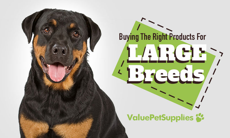Buying The Right Products for Large Dog Breeds