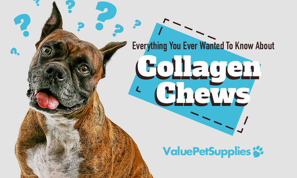 Collagen Chews For Dogs - Everything You Need To Know!