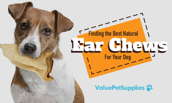 Finding the Best Natural Ear Chews for Your Dog