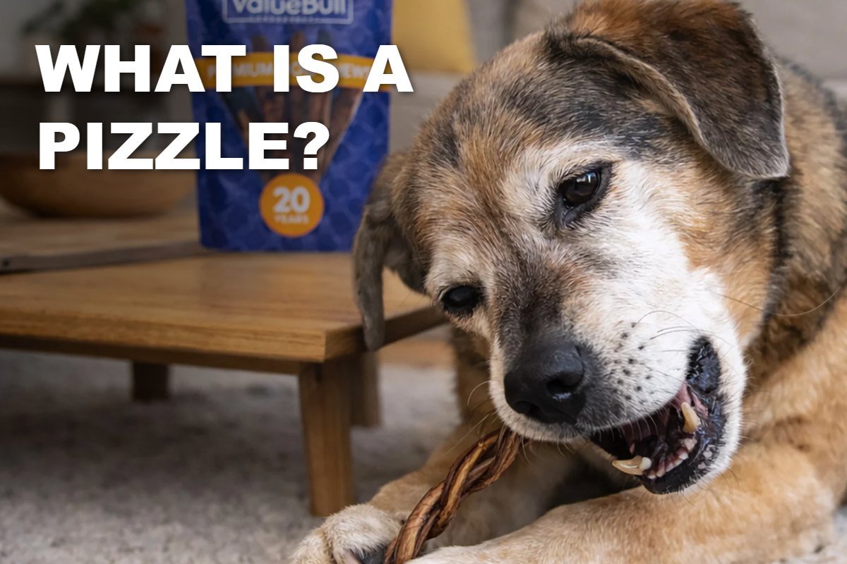 What Is a Pizzle? Lamb, Bull and Pork Pizzle Sticks Explained - ValuePetSupplies