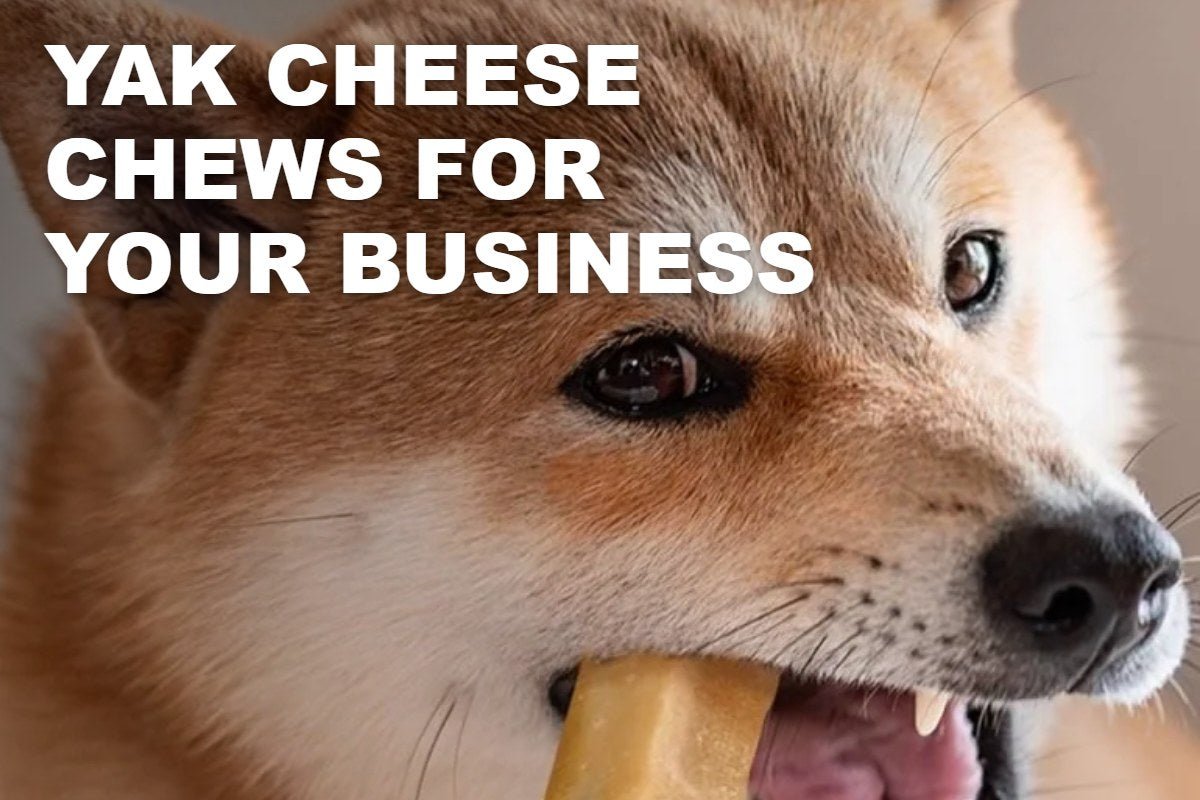 Yak Cheese Chews for Your Business: Which Sizes and Packs to Stock - ValuePetSupplies