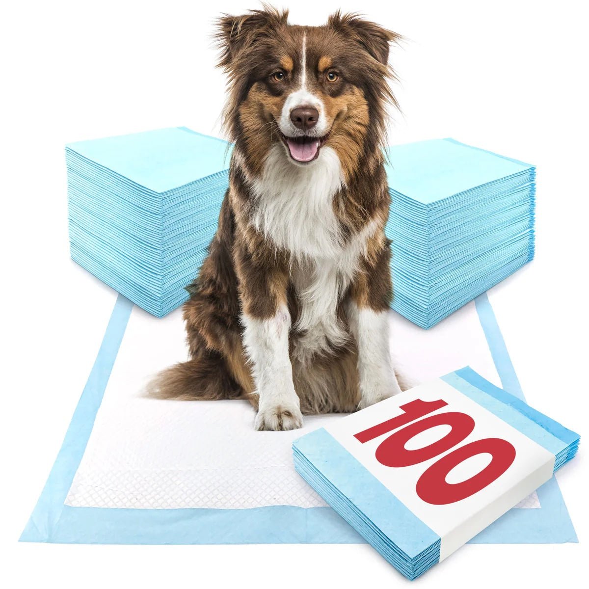 Economy Large Puppy Pads - ValuePetSupplies
