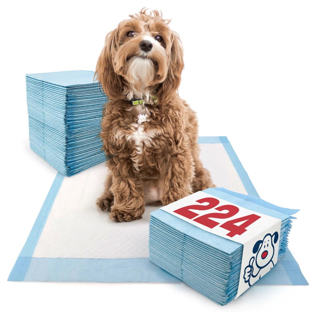 Economy Medium Puppy Pads - ValuePetSupplies