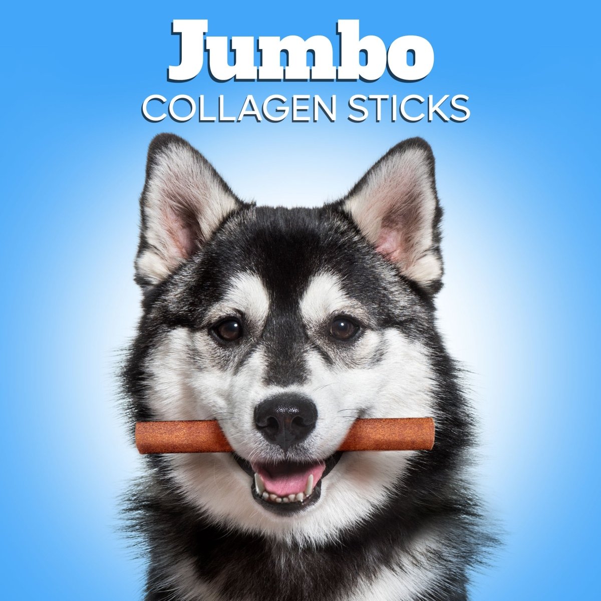 Jumbo Collagen Chews For Dogs - ValuePetSupplies