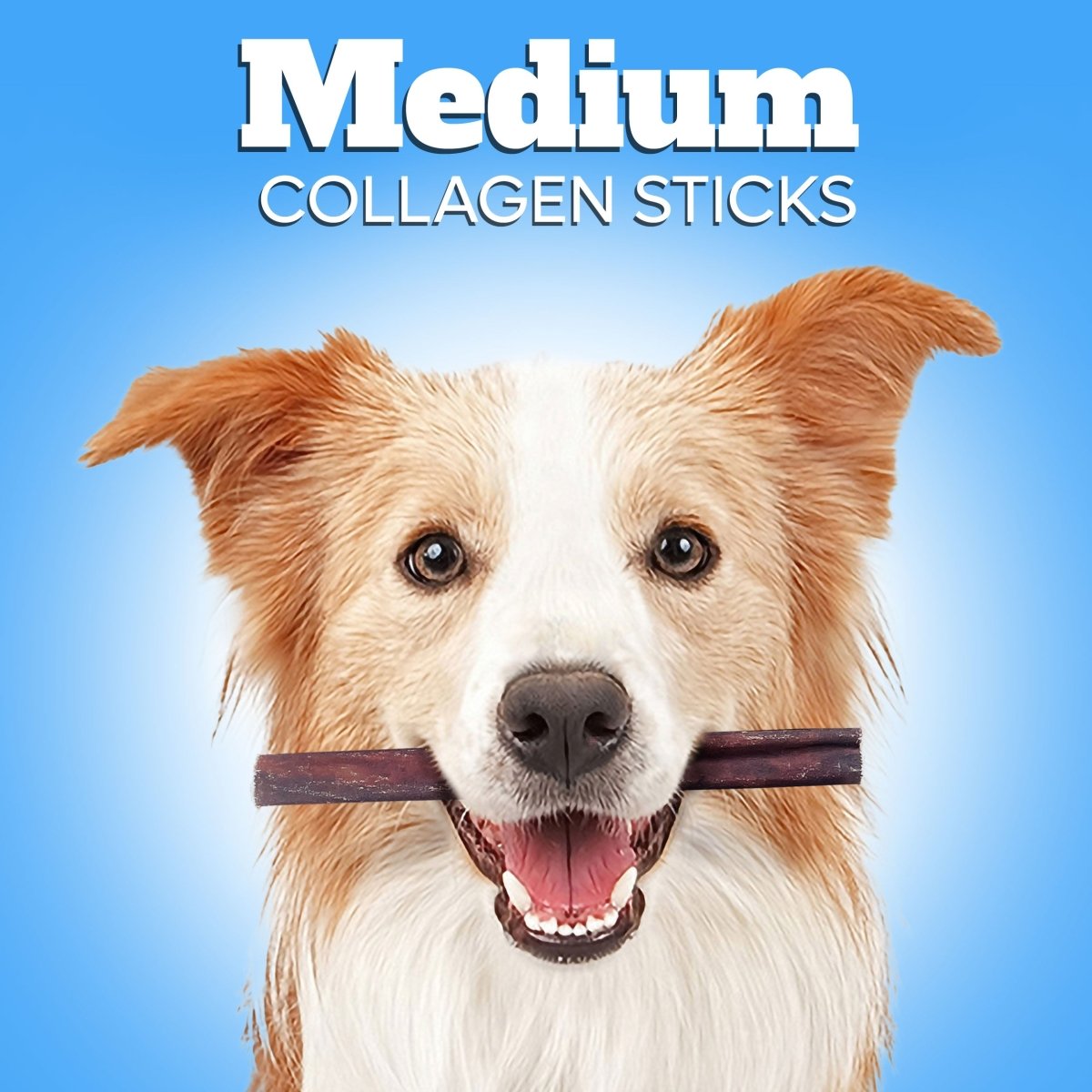 Medium Collagen Chews - ValuePetSupplies