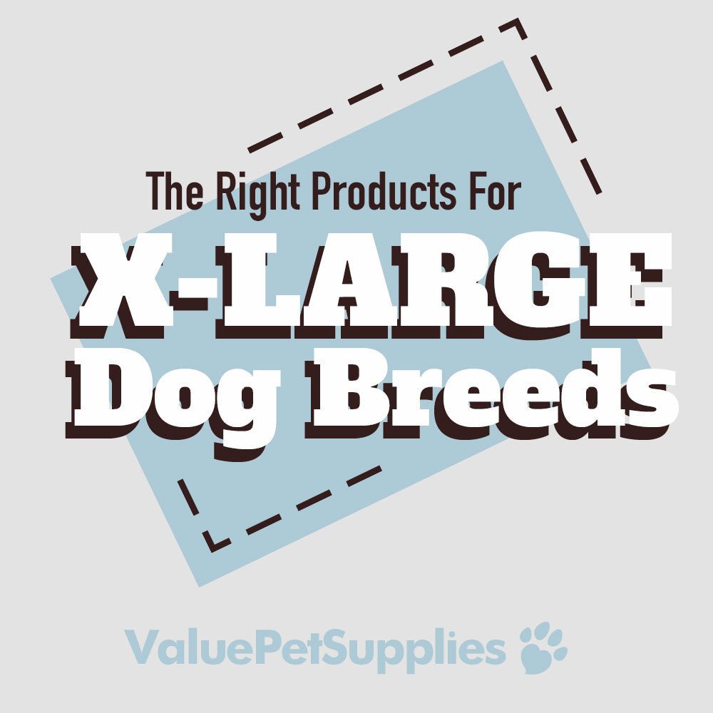 Pet Supplies For Extra Large Dogs - ValuePetSupplies