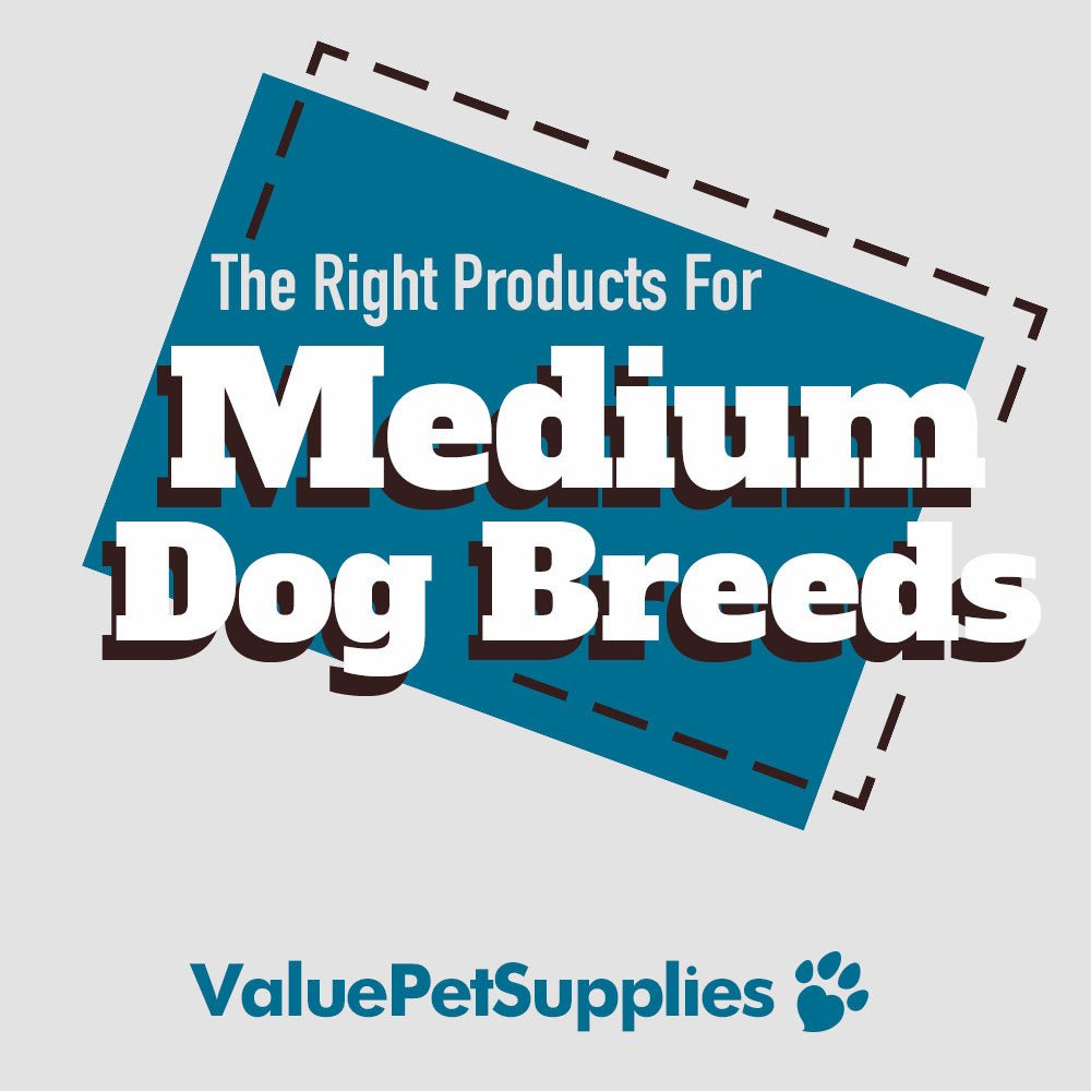 Pet Supplies For Medium Size Dogs - ValuePetSupplies