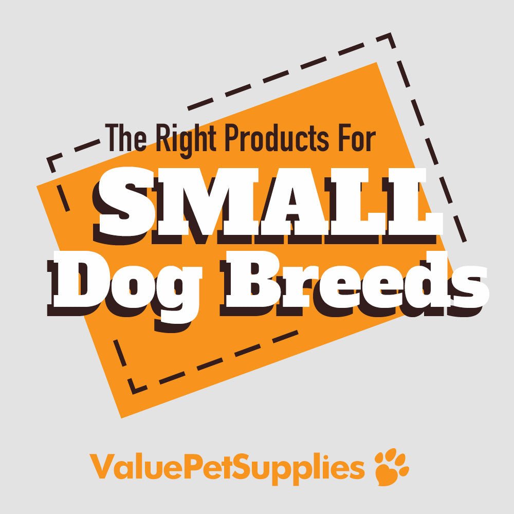 Pet Supplies For Small Dogs - ValuePetSupplies