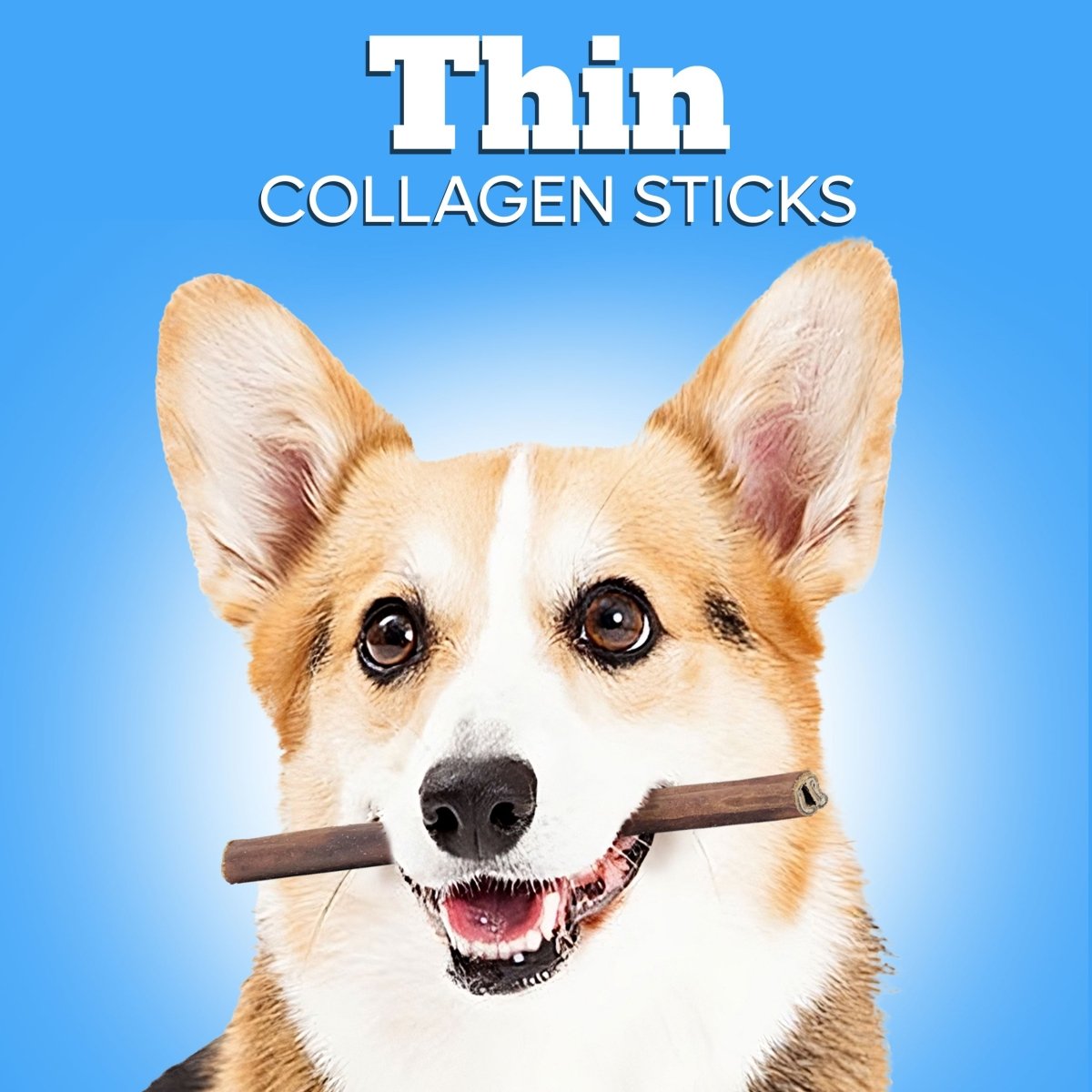 Thin Collagen Chews For Dogs - ValuePetSupplies