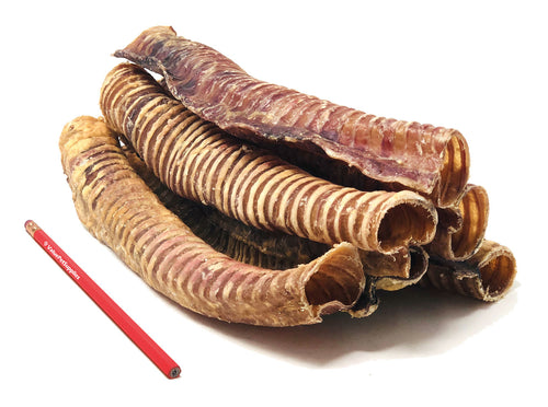 ValueBull Beef Trachea Dog Treats 12 Inch, 40 Pound WHOLESALE PACK