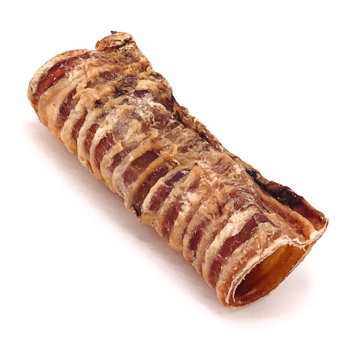 ValueBull Beef Trachea, Premium 5-6 Inch, 20 Pound WHOLESALE PACK