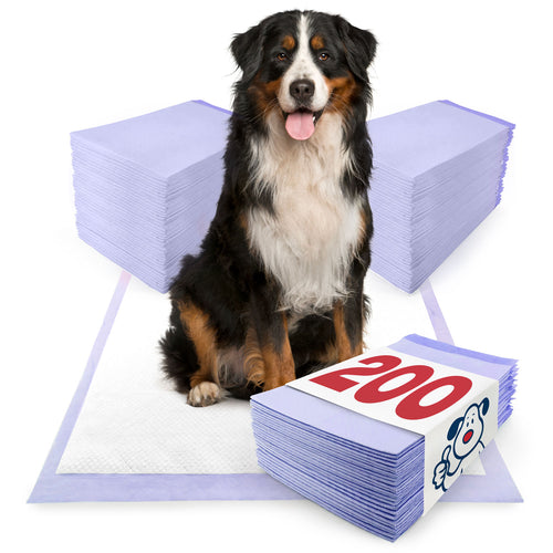 NEW- ValuePad Plus Puppy Pads, Extra Large 28"x36", Lavender Scent, 200 ct BULK PACK