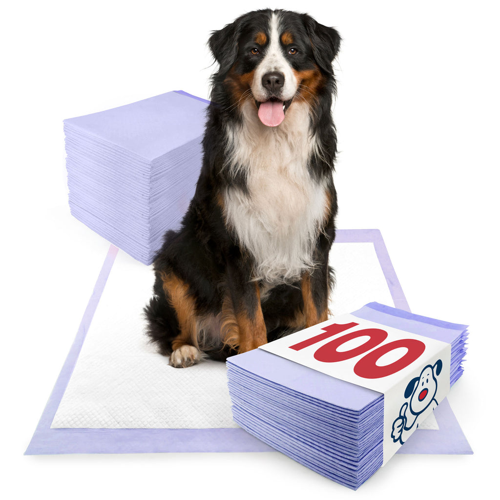 400 Count 30 x 30 Puppy Under pads Dog Pee Pads Housebreaking Training Mat