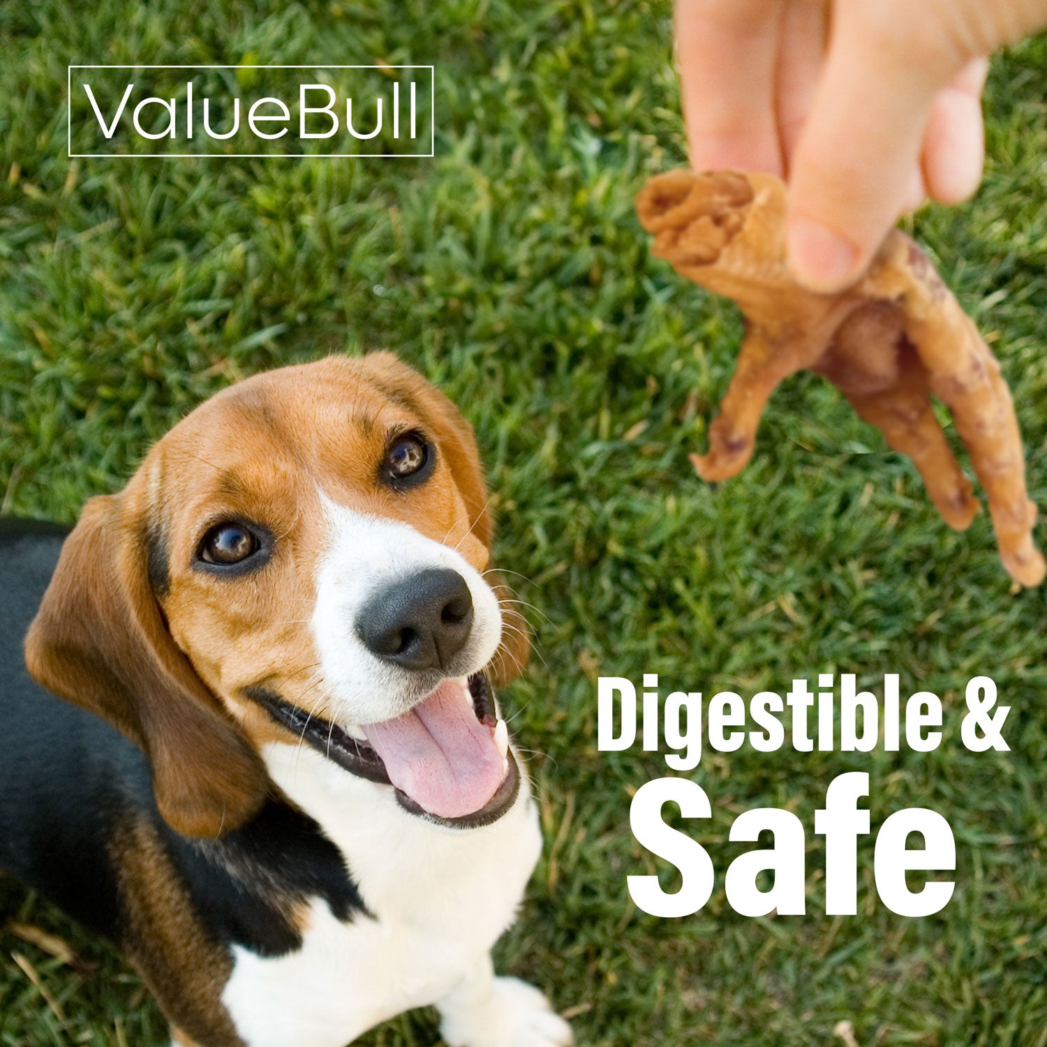 ValueBull Chicken Feet for Dogs, 200 Count Bulk Pack