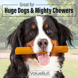 ValueBull Buffalo Collagen Sticks for Dogs, 6 Inch Super Jumbo Chews, Natural Long-Lasting Dog Treats, 10 Count