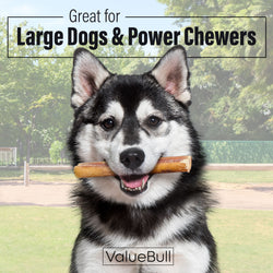 ValueBull Odor Free Bully Sticks for Large Dogs, Jumbo 6 Inch, 100 Count Wholesale Pack - 100