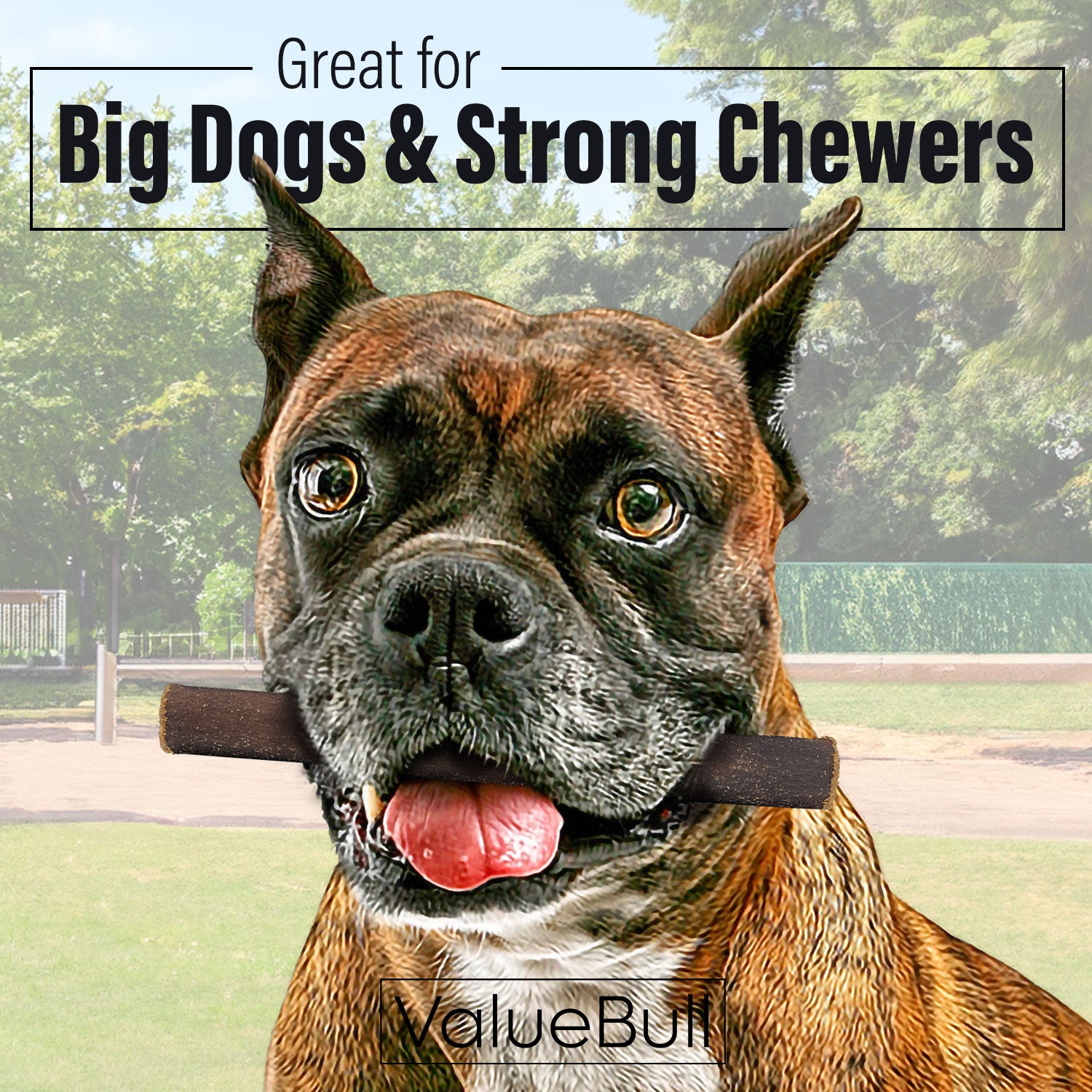 ValueBull Collagen Sticks for Dogs, 6 Inch Thick Chews, Natural Long-Lasting Dog Treats, 25 Count