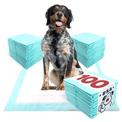 ValuePad USA Plus Puppy Pads, Large 28x30 Inch, 100 Count Bulk Pack - 100 Count,Large