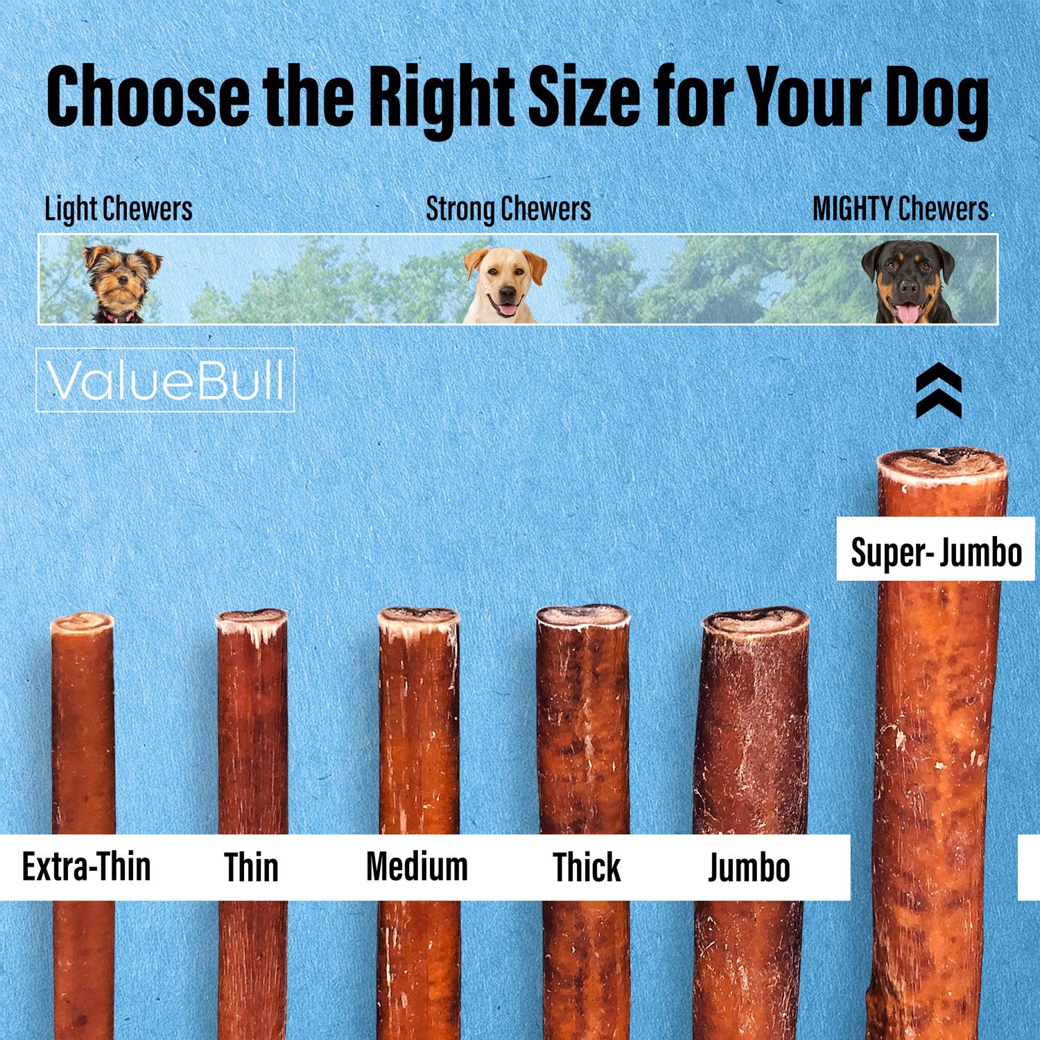 ValueBull Bully Sticks for Large Dogs, Super Jumbo 6 Inch, 25 Count - Super Jumbo - 25 Sticks