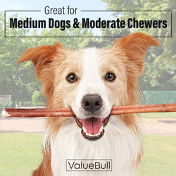 ValueBull Odor Free Bully Sticks for Dogs, Medium 12 Inch, 100 Count Wholesale Pack