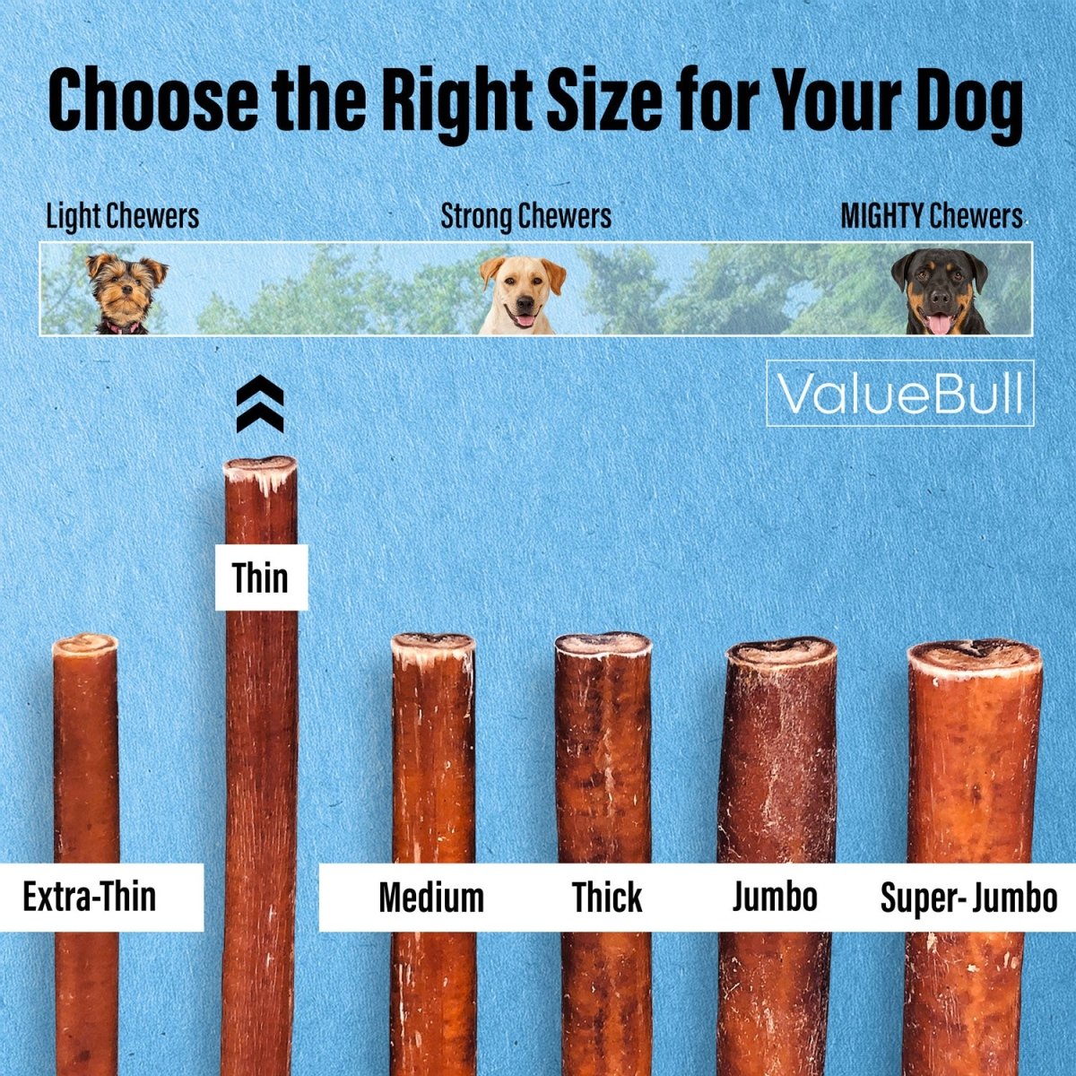 ValueBull Bully Sticks for Small Dogs, Thin 6 Inch, 200 Count BULK PACK - ValuePetSupplies