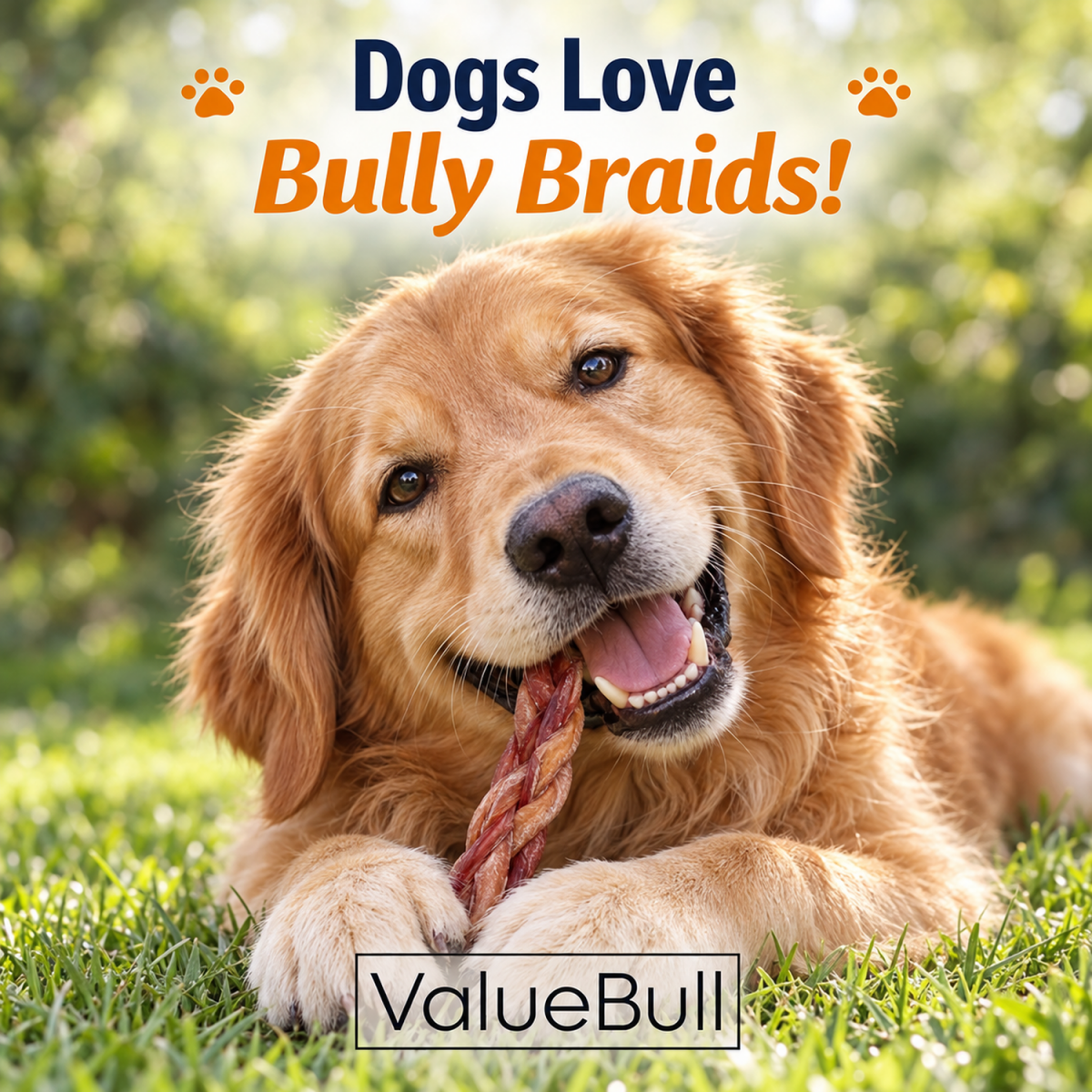 ValueBull Braided Bully Sticks for Small Dogs, Thin 6 Inch, 50 Count - ValuePetSupplies