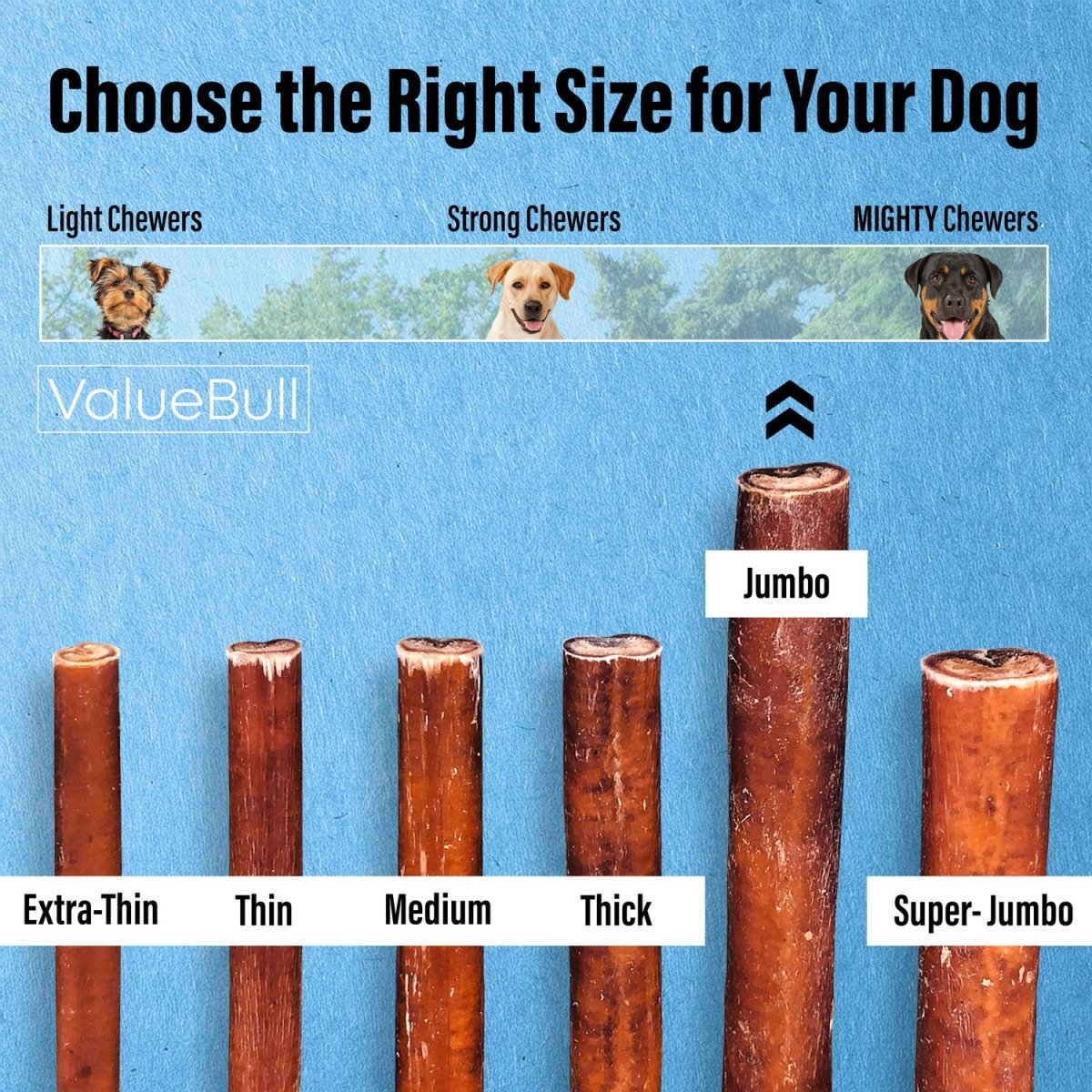 ValueBull Bully Sticks for Large Dogs, Jumbo 12 Inch, 25 Count - ValuePetSupplies