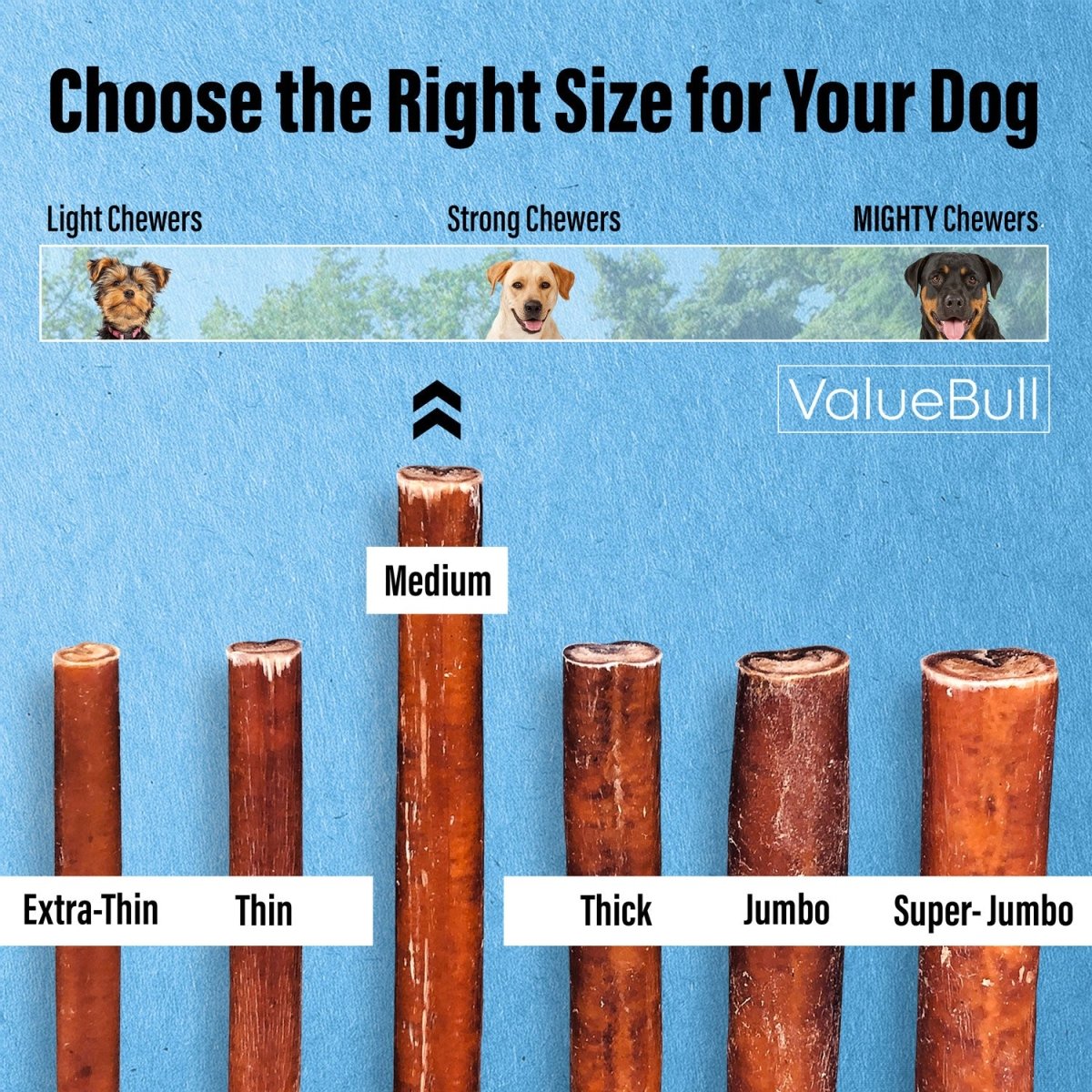 ValueBull Bully Sticks for Dogs, Medium 12 Inch, 100 Count - ValuePetSupplies
