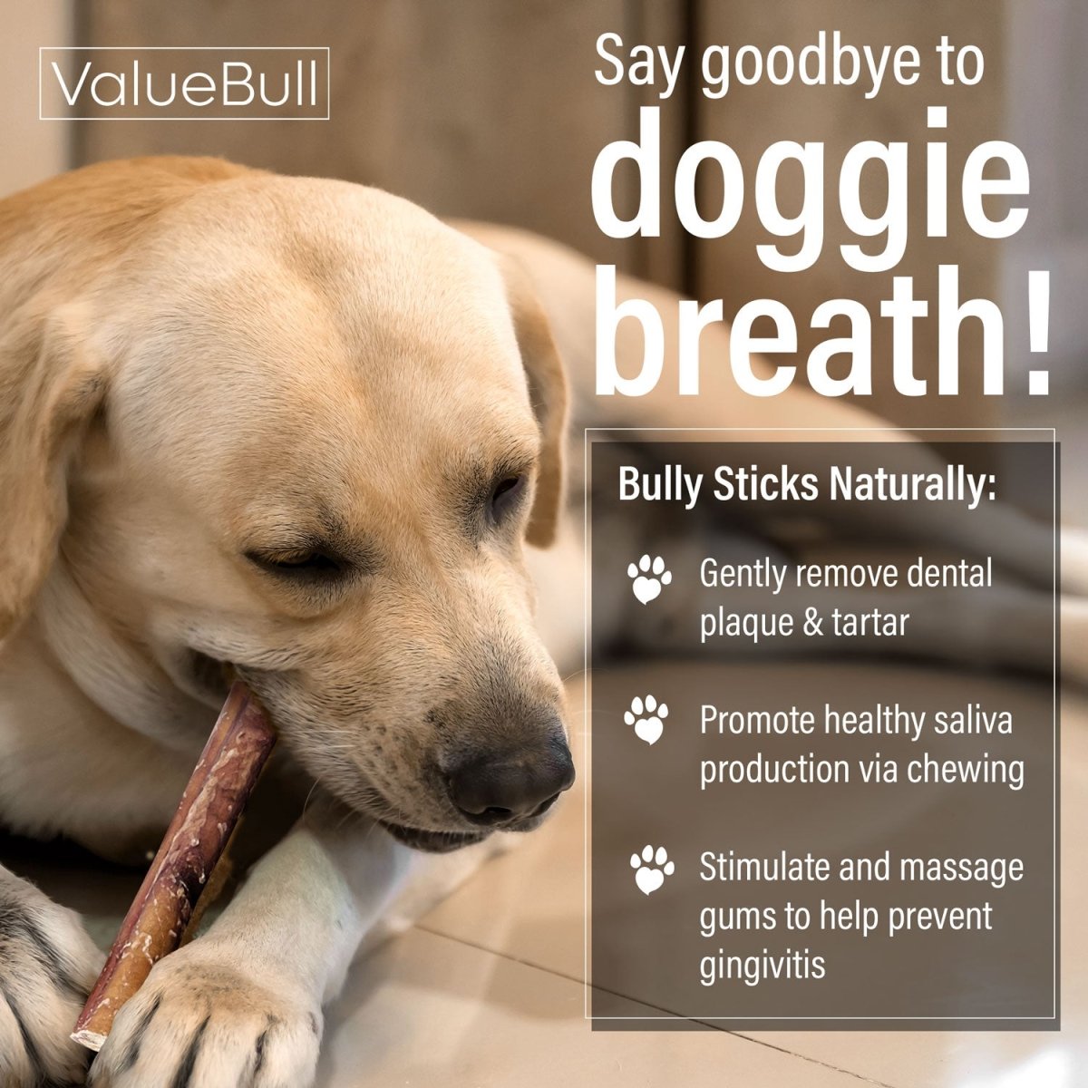 ValueBull Bully Sticks for Dogs, Thick 12 Inch, 50 Count - ValuePetSupplies
