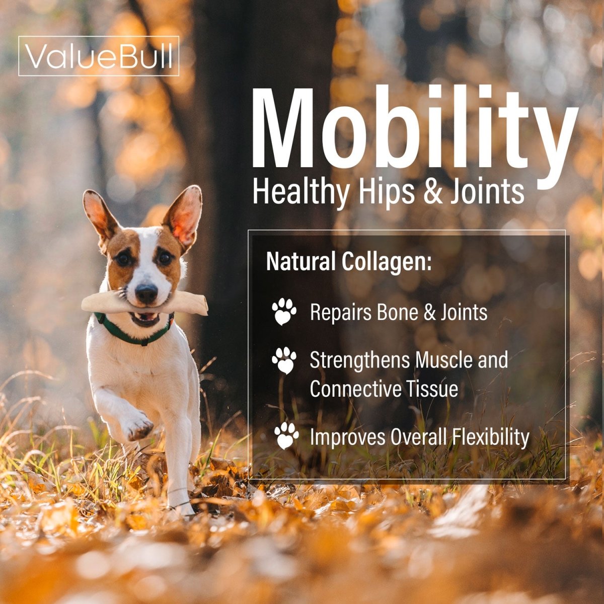 ValueBull USA Collagen Flats, Dog Chews, Natural Beef, 50 Count - ValuePetSupplies