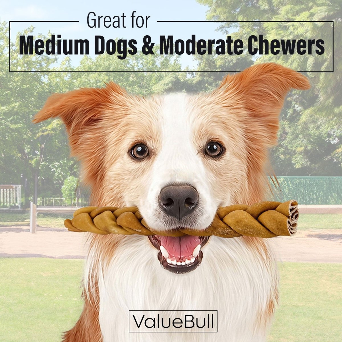 ValueBull USA Collagen Braids, Dog Chews, Natural Beef, Chicken Infused, Medium, 12 Inch, 100 Count BULK PACK - ValuePetSupplies