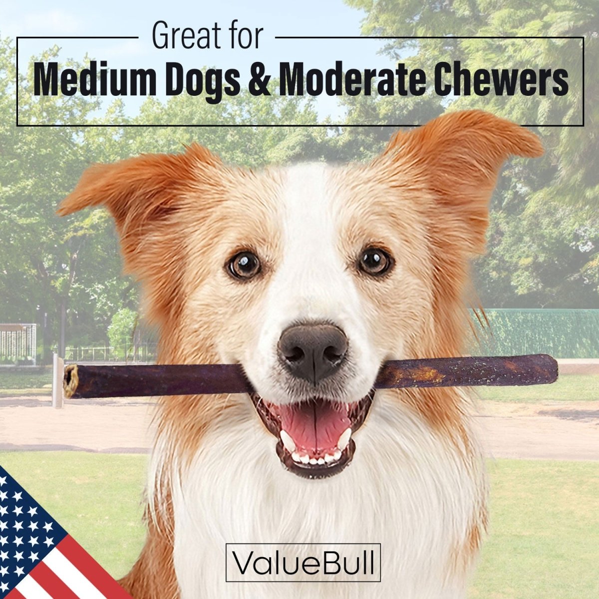 ValueBull USA Collagen Sticks For Dogs, Bully Sticks & Rawhide Alternative, Medium 12 Inch, 200 Count BULK PACK - ValuePetSupplies