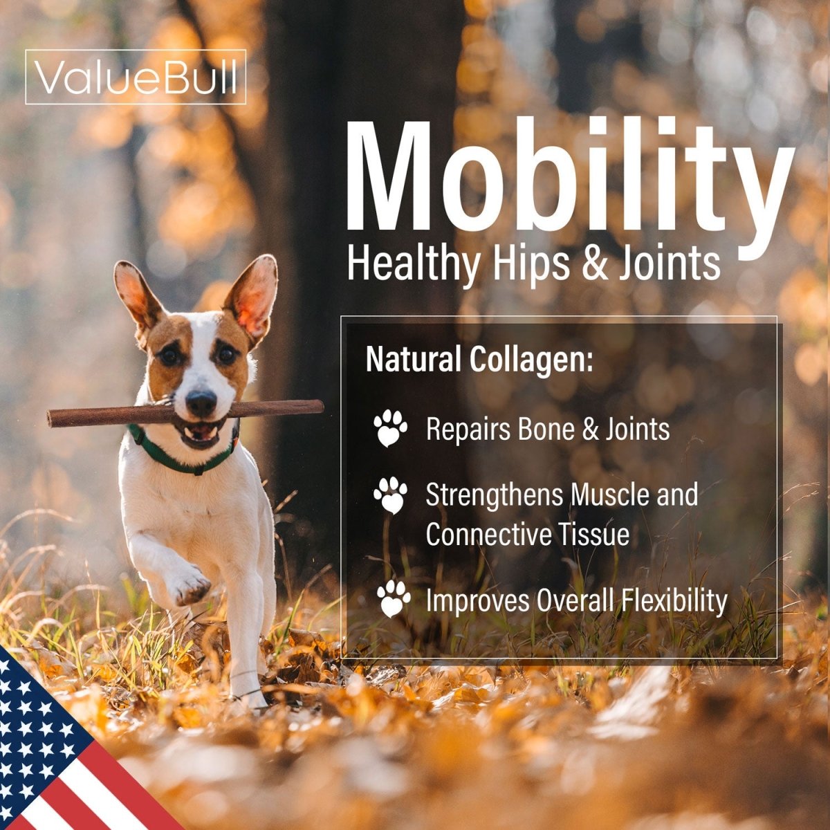 ValueBull USA Collagen Sticks For Dogs, Bully Sticks & Rawhide Alternative, Thick 12 Inch, 10 Count - ValuePetSupplies