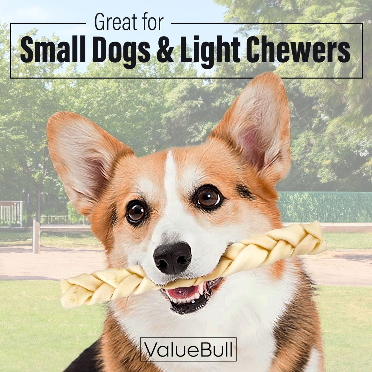 ValueBull USA Collagen Braids, Dog Chews, Natural Beef, Thin 12 Inch, 100 Count BULK PACK - ValuePetSupplies