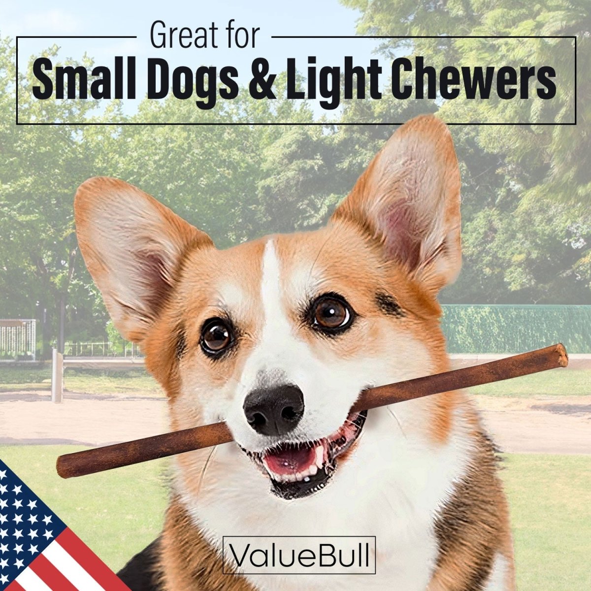 ValueBull USA Collagen Sticks For Small Dogs, Bully Sticks & Rawhide Alternative, Thin 12 Inch, 10 Count - ValuePetSupplies