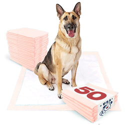 ValuePad USA Plus Puppy Pads, Jumbo 36x36 Inch, 50 Count - ValuePetSupplies