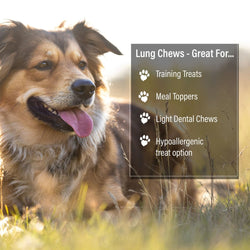 ValueBull Beef Lung Wafers, Premium 6 Pounds - ValuePetSupplies