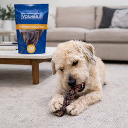 ValueBull Beef Jerky Gullet Braids, Premium Dog Chews, Thick 6 Inch, 25 Count Bulk Pack - ValuePetSupplies