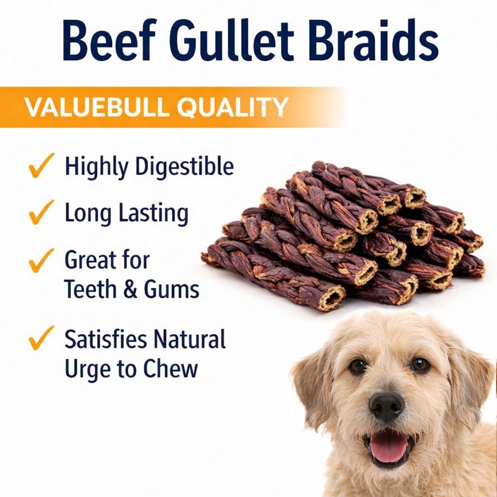 ValueBull Beef Jerky Gullet Braids, Premium Dog Chews, Thick 6 Inch, 50 Count Bulk Pack - ValuePetSupplies