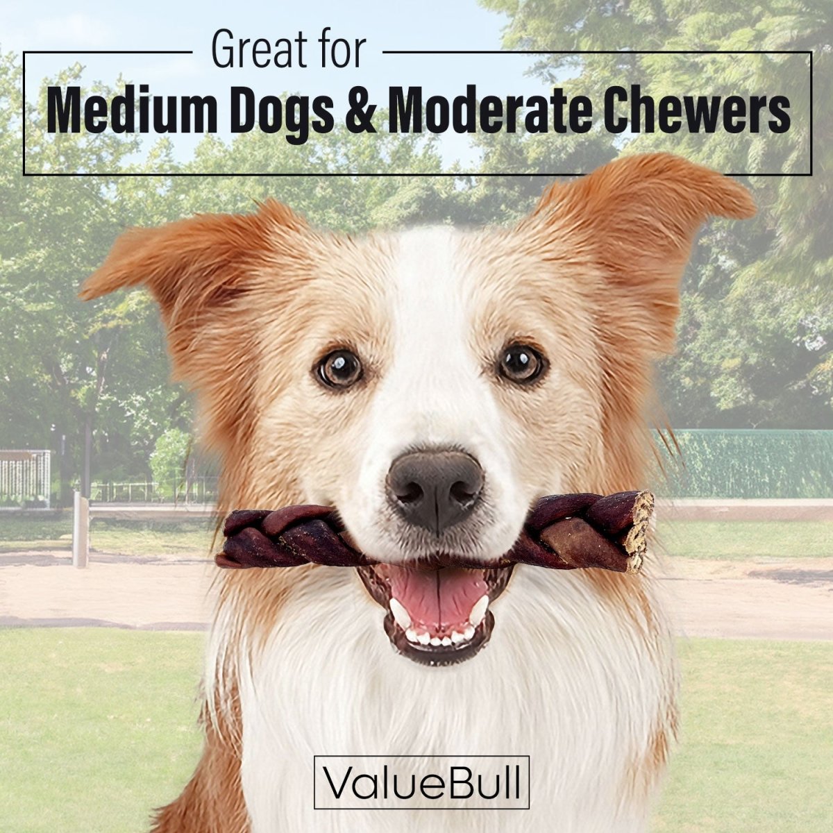 ValueBull Collagen Braided Sticks for Dogs, 6 Inch Medium Chews, Natural Long-Lasting Dog Treats, 10 Count - Medium - 10 Braids