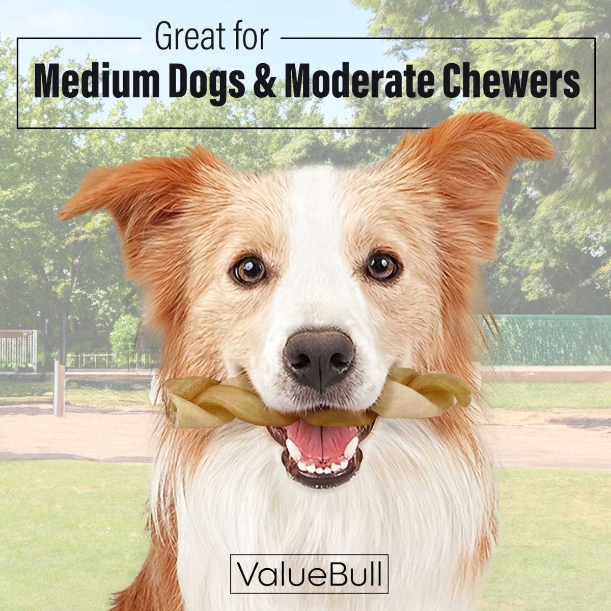 ValueBull Buffalo Collagen Braided Sticks for Dogs, 6 Inch Medium Chews, Natural Long - Lasting Dog Treats, 200 Count Wholesale Pack - ValuePetSupplies