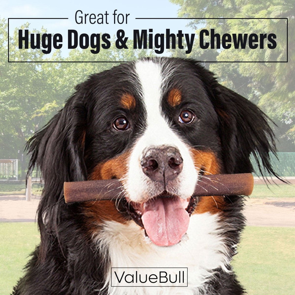 ValueBull Collagen Sticks For Dogs, Bully Sticks & Rawhide Alternative, Super Jumbo 6 Inch, 100 Count BULK PACK - ValuePetSupplies