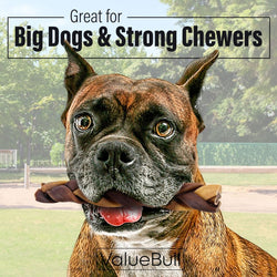 ValueBull Collagen Braided Sticks for Dogs, 6 Inch Thick Chews, Natural Long - Lasting Dog Treats, 200 Count Bulk Pack - ValuePetSupplies