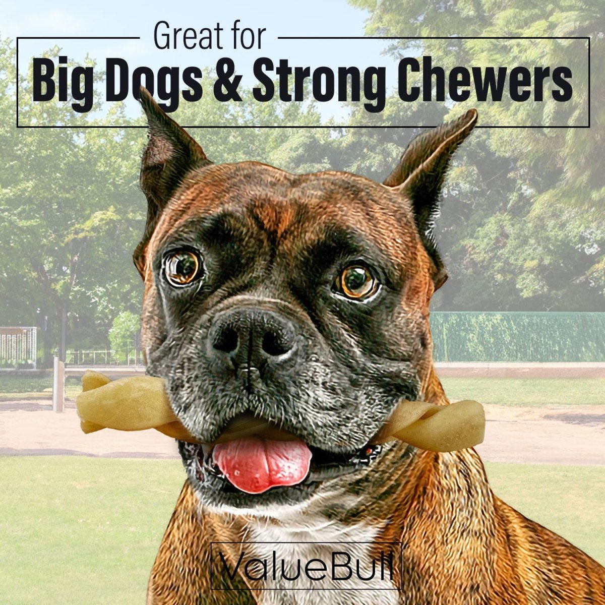 ValueBull Buffalo Collagen Braided Sticks, Bully Sticks & Rawhide Alternative, Thick 6 Inch, 100 ct BULK PACK - ValuePetSupplies