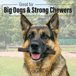 ValueBull Buffalo Collagen Sticks for Dogs, 6 Inch Thick Chews, Natural Long-Lasting Dog Treats, 200 Count Bulk Pack - Thick - 200 Sticks