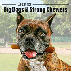 ValueBull Buffalo Collagen Sticks for Dogs, 6 Inch Thick Chews, Natural Long - Lasting Dog Treats, 25 Count - ValuePetSupplies